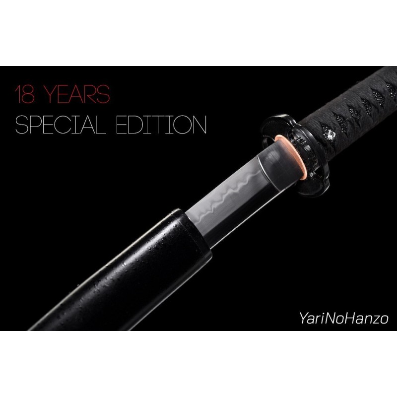 Togakure Shinobigatana | Handmade Katana Sword | ED.18 YEARS