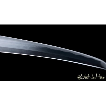 Jintachi | Handmade Iaito Sword for sale | Buy the best samurai swords and japanese swords  |