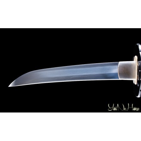 Shinobi Kodachi | Handmade Iaito Sword for sale | Buy the best samurai swords and japanese swords  |