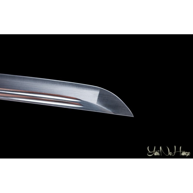 Shinden Fudo Ryu | Handmade Iaito Sword for sale | Buy the best samurai swords and japanese swords  |