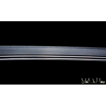 Shinden Fudo Ryu | Handmade Iaito Sword for sale | Buy the best samurai swords and japanese swords  |