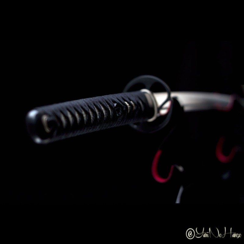 IAIDO SET PERFORMANCE