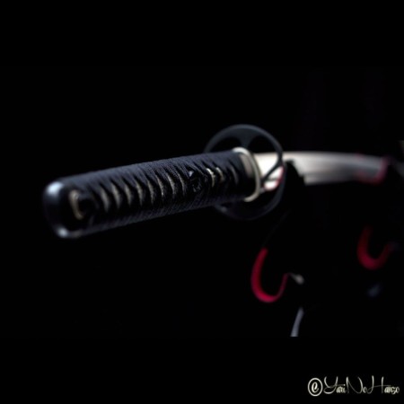 IAIDO SET PERFORMANCE