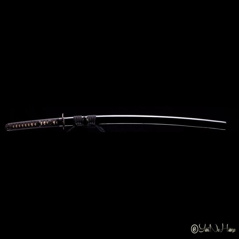 IAIDO SET PERFORMANCE