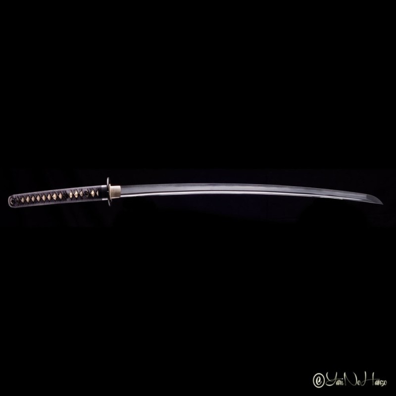 IAIDO SET PERFORMANCE