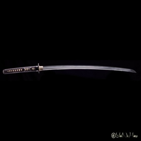 IAIDO SET PERFORMANCE