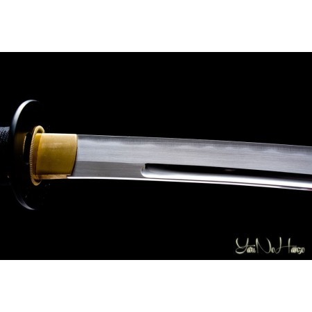 Taira | Handmade Iaito Sword for sale | Buy the best samurai swords and japanese swords  |