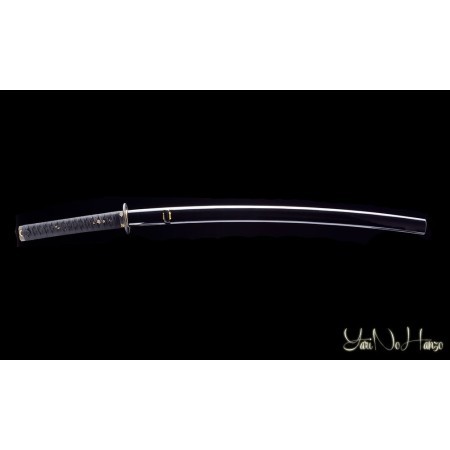 Taira | Handmade Iaito Sword for sale | Buy the best samurai swords and japanese swords  |