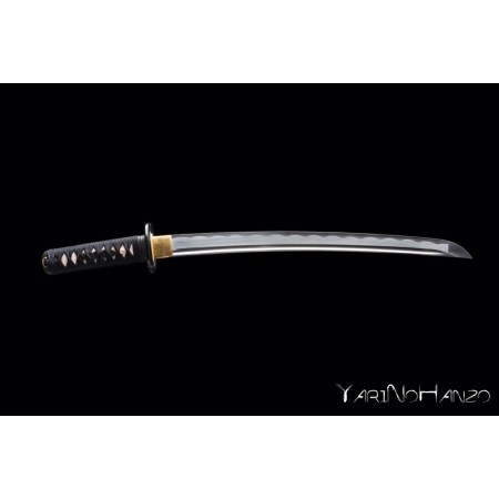 Musashi Wakizashi | Handmade Iaito Sword |
