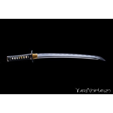 Asakura Wakizashi Basic | Handmade Iaito Wakizashi