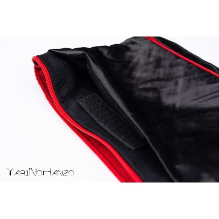 Carry bag for masks and gloves