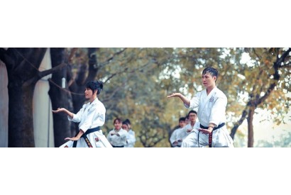 Karate-do: what it means